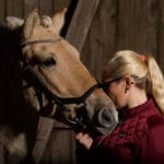 Fotoshoot med hest på stallen